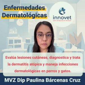 Curso-Dermatologia-veterinaria.webp