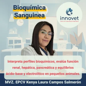 Curso-bioquimica-sanguinea-veterinaria.webp