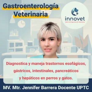 Curso-gastroenterologia-veterinaria.webp