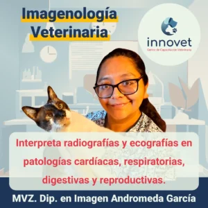 Curso-imagenologia-veterinaria.webp