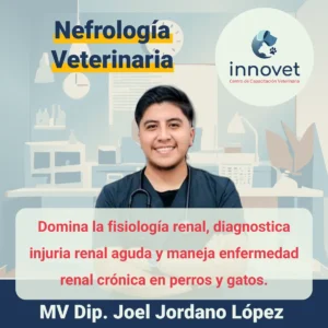 Curso-nefrologia-veterinaria.webp