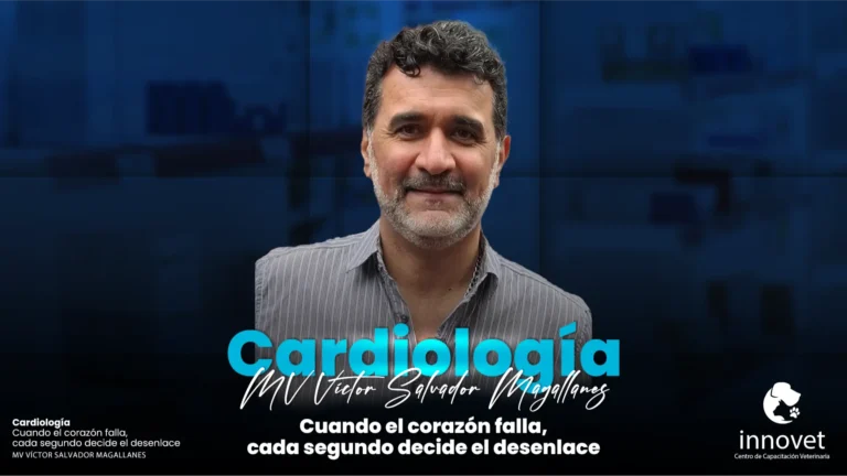 Magallanes