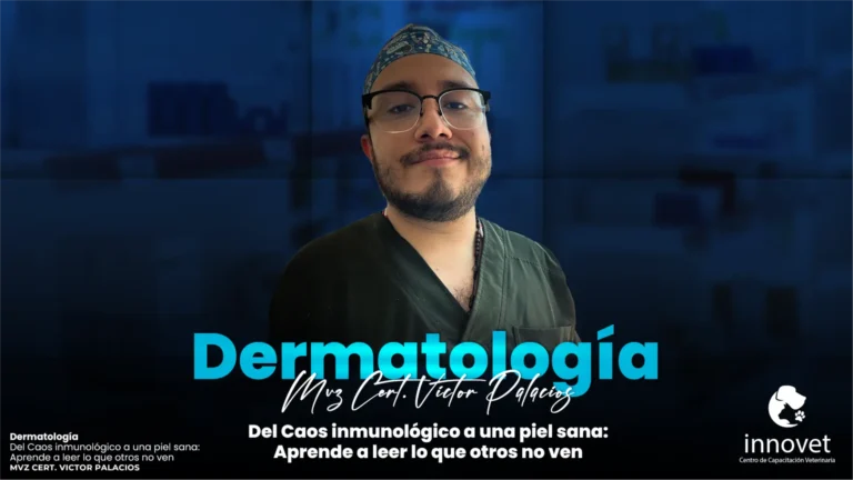 palacios