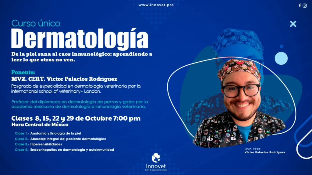 tarjeta 4 victor palacios