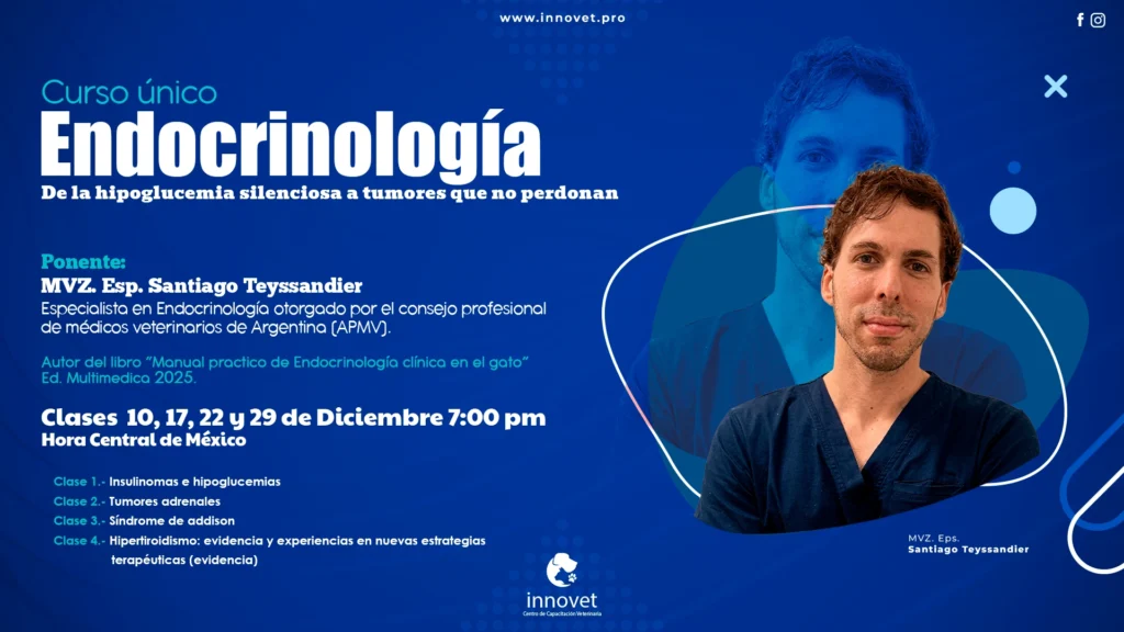 tarjeta 6 sANTIAGO